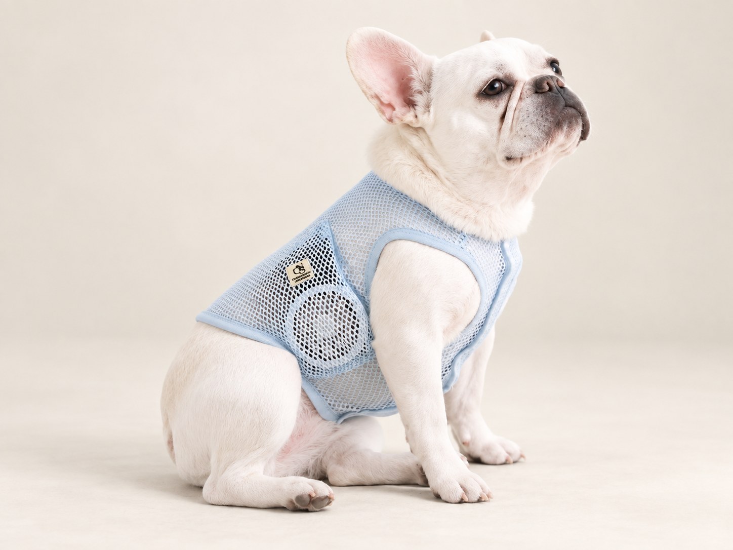 COOL DOG เสื้อช่วยคลายร้อนสำหรับสุนัข