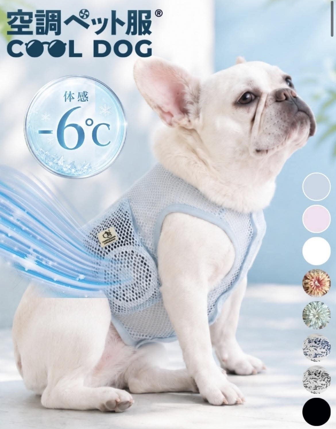 COOL DOG 1