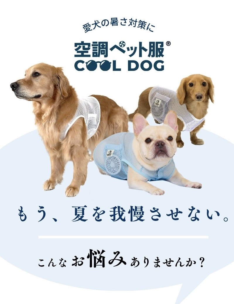 COOL DOG 2